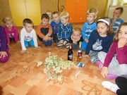 Prevence drogových závislostí, alkoholismu a kouření- seznámení dětí s riziky